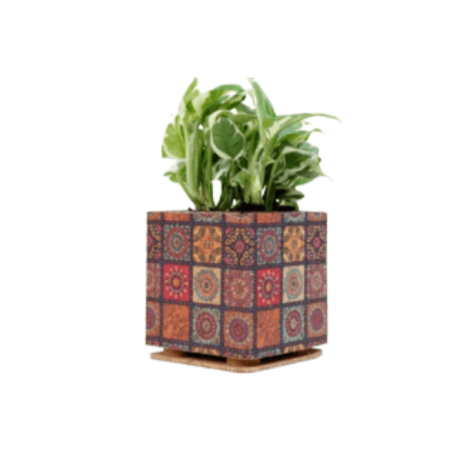 BOX PRINT PLANTER