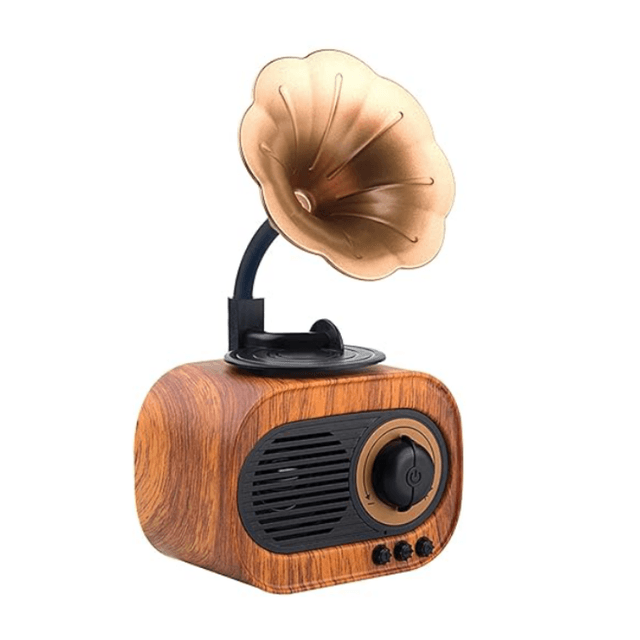 Bluetooth Speaker Gramophone