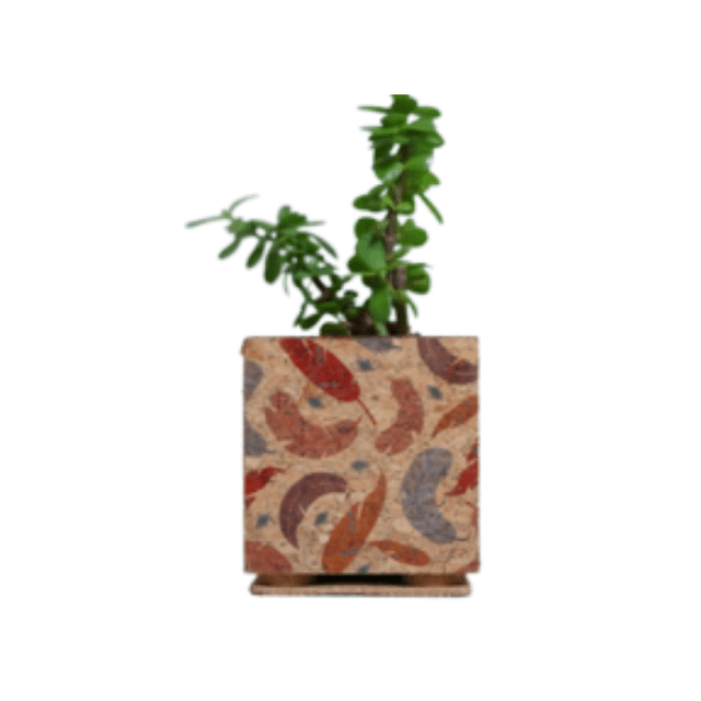 FEATHER PLANTER